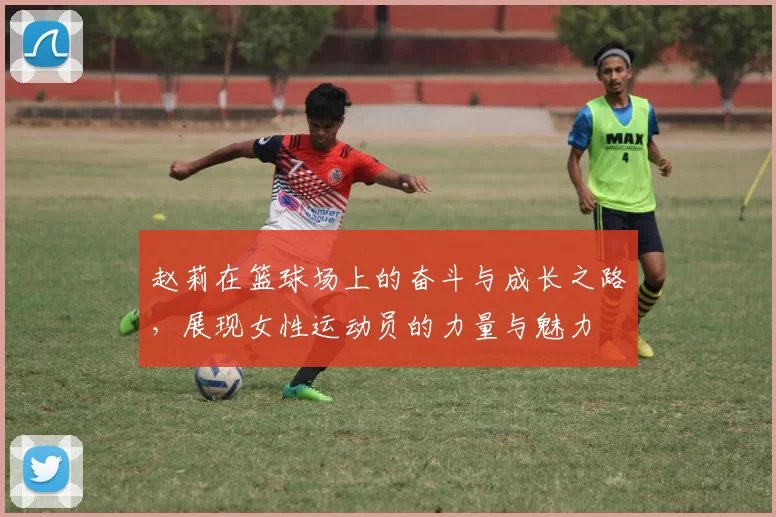 赵莉在篮球场上的奋斗与成长之路，展现女性运动员的力量与魅力