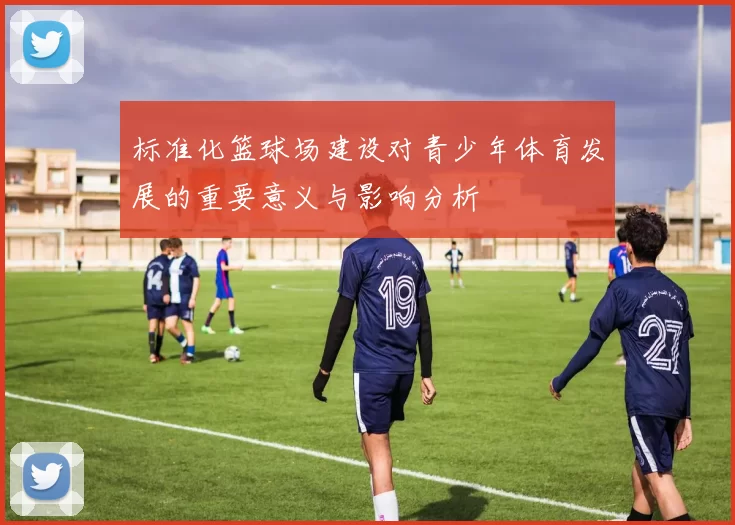 标准化篮球场建设对青少年体育发展的重要意义与影响分析